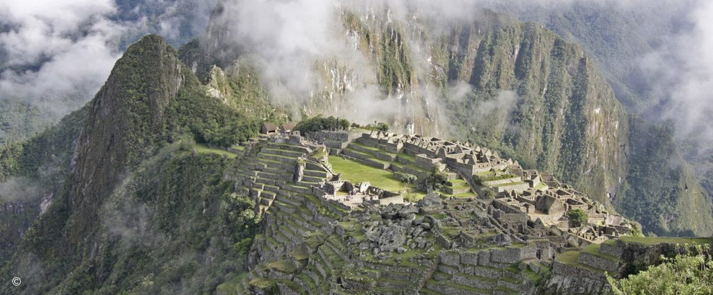 The Ancient History of the Maca Plant