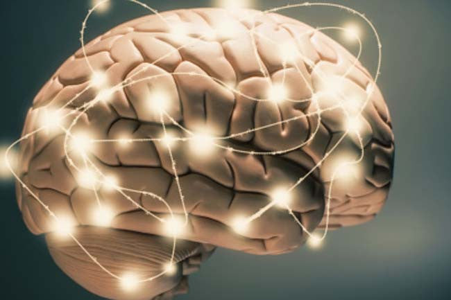 Brahmi For Brain Health - Must Read