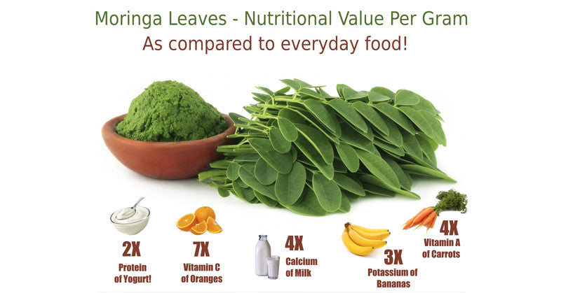 Moringa for Malnutrition